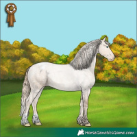 Horse Color:Perlino Snowcap 