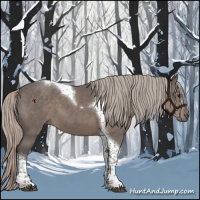 Horse Color:Silver Black Tobiano 