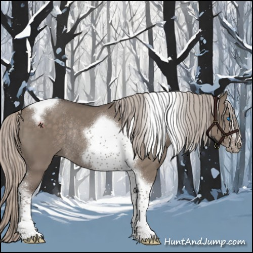 Horse Color:Silver Grullo Tobiano Frame Rabicano 