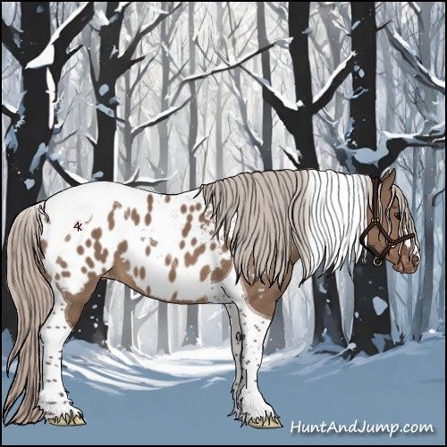Horse Color:Silver Brown Dun Tobiano Appaloosa 