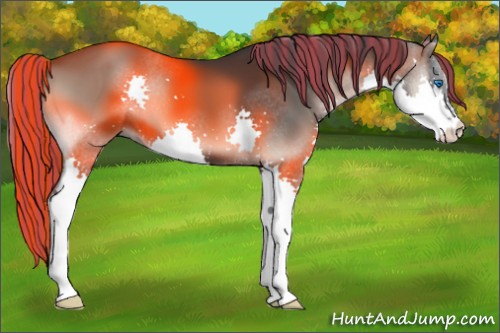 Horse Color:Painted Blue Onyx Splash 