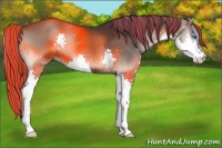 Horse Color:Painted Blue Onyx Splash 