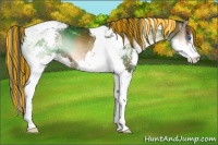 Horse Color:Painted Brown Onyx Splash Tobiano 
