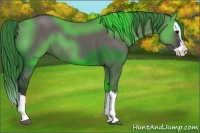 Horse Color:Grullo Sabino Splash 