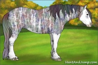 Horse Color:Nacre Blue Ice Roan Splash 