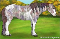 Horse Color:Nacre Liver Chestnut Ice Splash Tobiano 
