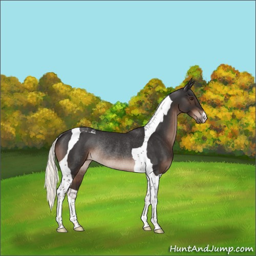 Horse Color:Liver Chestnut Mushroom Tobiano Rabicano