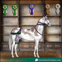 Horse Color:White Spotted Liver Red Dun Mushroom Splash 