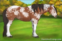 Horse Color:Bay Ice Sabino Tobiano 