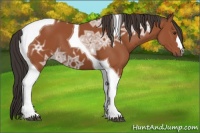 Horse Color:Bay Ice Tobiano 