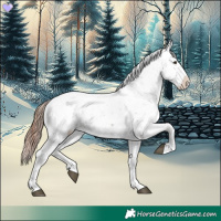 Horse Color:Liver Chestnut Sabino Appaloosa 