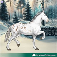 Horse Color:Chocolate Palomino Sabino Appaloosa 