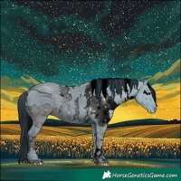 Horse Color:ERROR: UNKNOWN ANOMALY