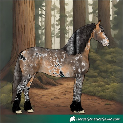 Horse Color:White Spotted Buckskin Sabino Rabicano 
