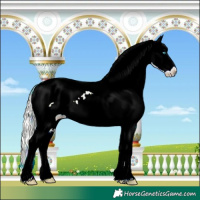 Horse Color:Silver Buckskin Ice Pearl Sabino Tobiano Varnish Rabicano 