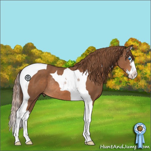 Horse Color:Chestnut Splash Tobiano Rabicano 