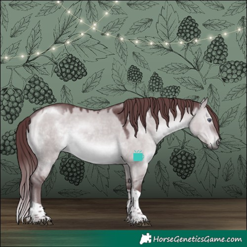 Horse Color:Chocolate Brown Chinchilla Dun Tobiano