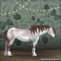 Horse Color:Chocolate Brown Chinchilla Dun Tobiano 