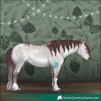 Horse Color:Chocolate Brown Chinchilla Dun Tobiano 