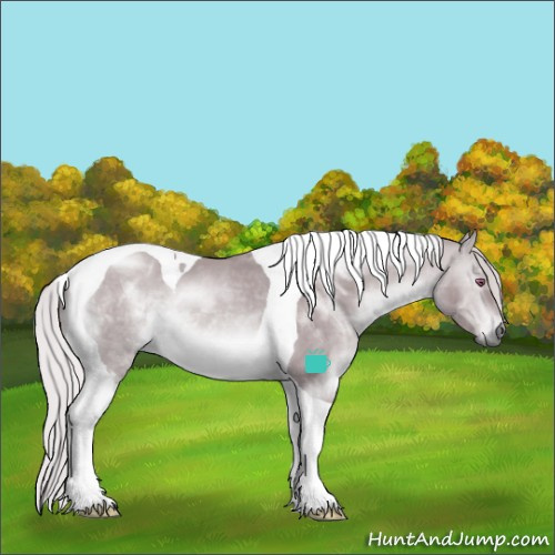 Horse Color:Chocolate Silver Brown Chinchilla Dun Tobiano