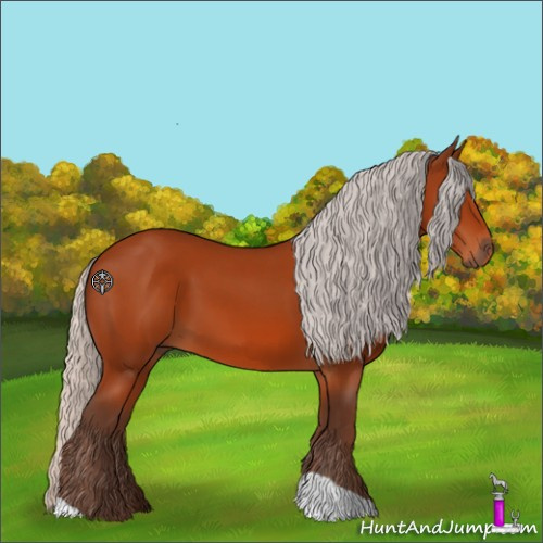 Horse Color:Silver Bay 