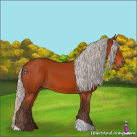 Horse Color:Silver Bay 