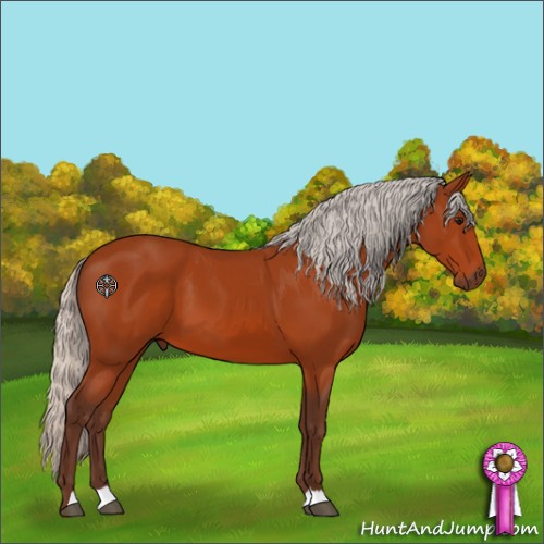 Horse Color:Silver Bay 