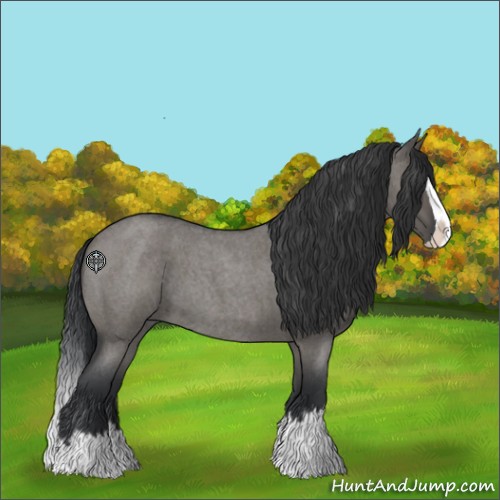 Horse Color:Grullo Roan Splash 