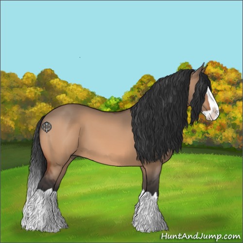 Horse Color:Bay Dun Splash 