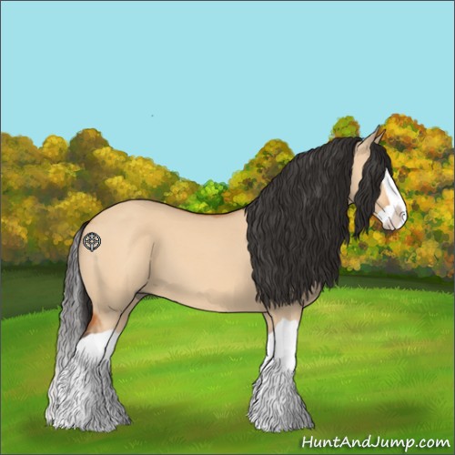 Horse Color:Bay Dun Splash 