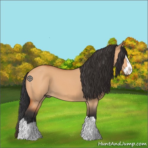 Horse Color:Bay Dun Splash 