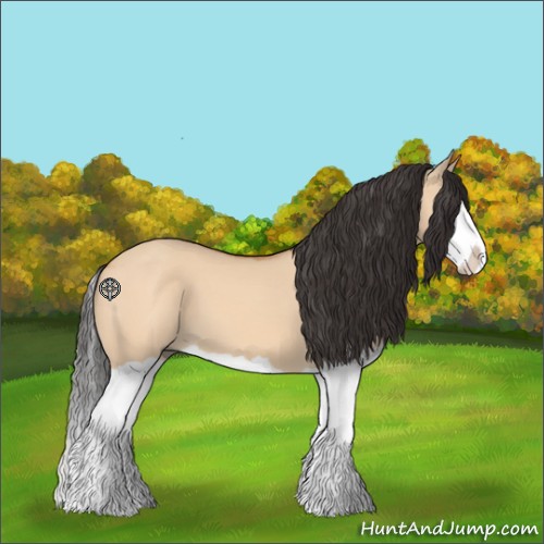 Horse Color:Bay Dun Splash 