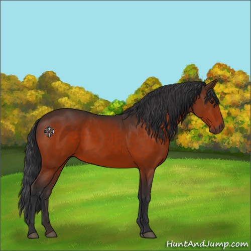 Horse Color:Brown 