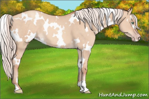 Horse Color:White Spotted Silver Sable Champagne Dun