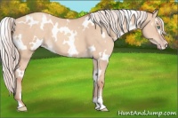 Horse Color:White Spotted Silver Sable Champagne Dun