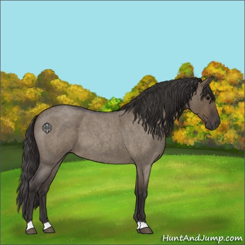Horse Color:Smoky Grullo Roan 