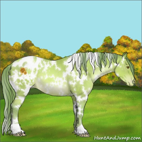 Horse Color:Watercolor White Spotted Brown Pearl Appaloosa 