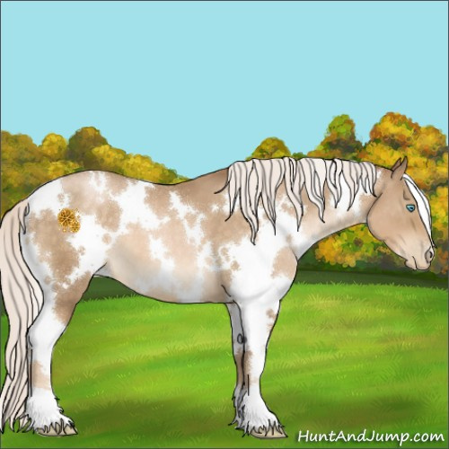 Horse Color:White Spotted Silver Buckskin Pearl 