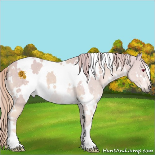 Horse Color:Watercolor White Spotted Chestnut Chinchilla 