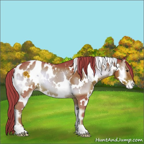Horse Color:Watercolor White Spotted Liver Red Onyx Appaloosa 