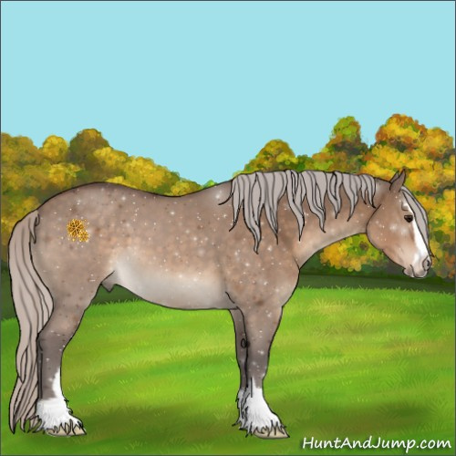 Horse Color:Silver Brown Dun Sabino 