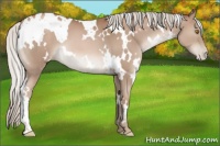 Horse Color:White Spotted Silver Black Pearl 