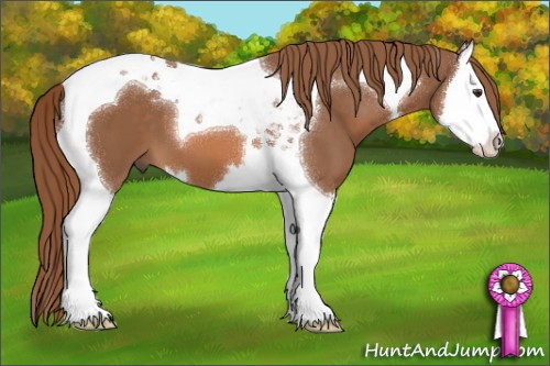 Horse Color:Chestnut Splash Tobiano 