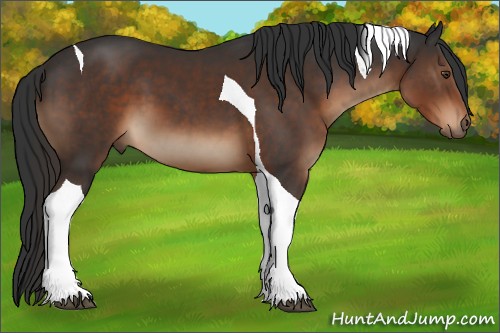 Horse Color:Liver Chestnut Tobiano 