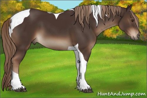 Horse Color:Liver Chestnut Tobiano 