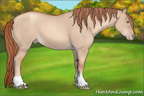 Horse Color:Gold Champagne Dun Tobiano 