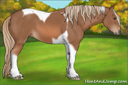 Horse Color:Chestnut Tobiano 