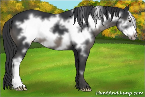 Horse Color:Black Frame 