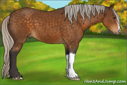 Horse Color:Silver Buckskin 