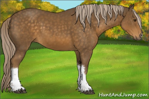 Horse Color:Chocolate Palomino 